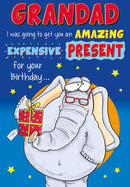 6pk Cards C75 Birthday Grandad - Tiger Feet Ireland
