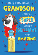 6pk Cards C75 Birthday Grandson - Tiger Feet Ireland