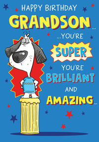 6pk Cards C75 Birthday Grandson - Tiger Feet Ireland