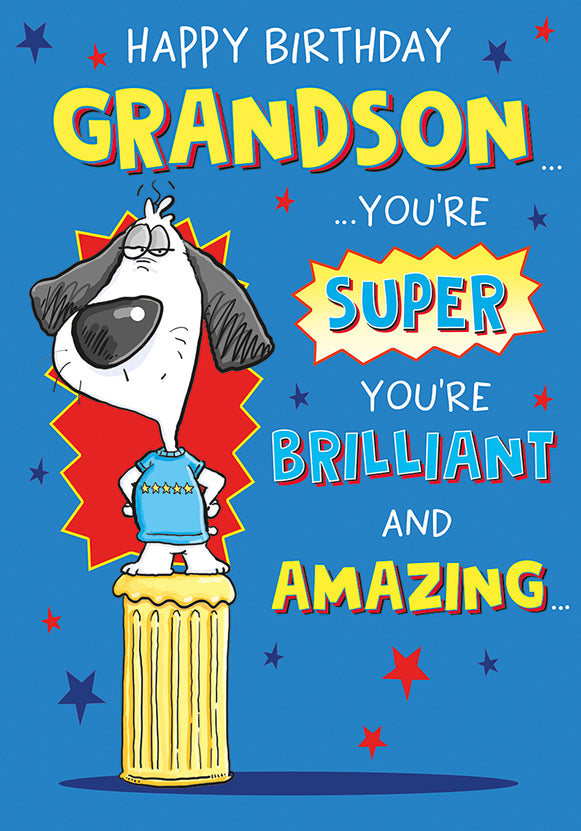 6pk Cards C75 Birthday Grandson - Tiger Feet Ireland