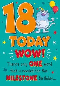 6pk Cards C75 Birthday Age 18 - Tiger Feet Ireland