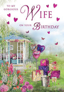 6pk Cards C75 Birthday Wife - Tiger Feet Ireland