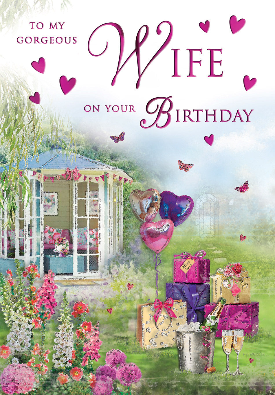 6pk Cards C75 Birthday Wife - Tiger Feet Ireland