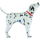Foil Balloon 40" Supershape Dalmatian Bingo - Tiger Feet Ireland