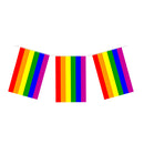 Flag Bunting 10m 20 Pennants Pride - Tiger Feet Ireland
