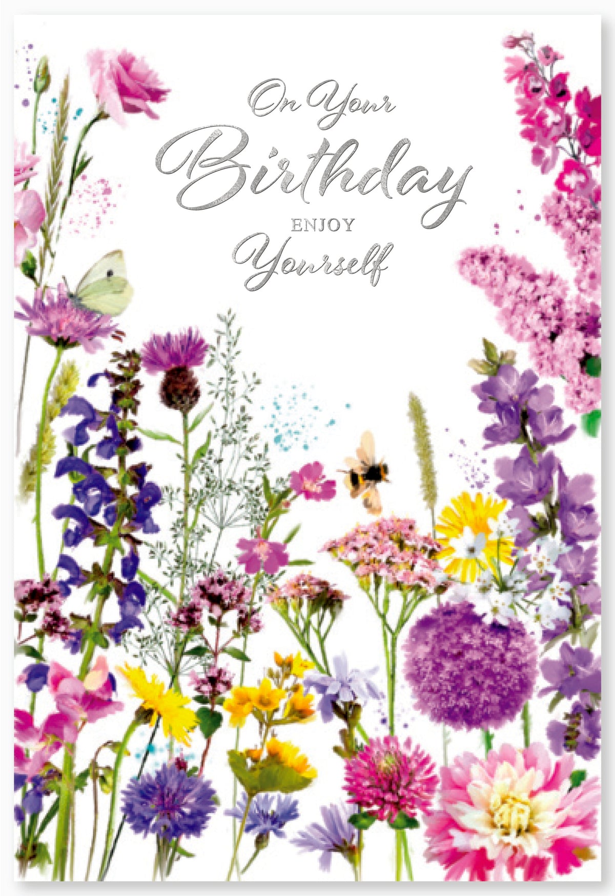 6pk Cards C50 Birthday Open - Tiger Feet Ireland