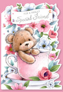 6pk Cards C50 Birthday Friend - Tiger Feet Ireland