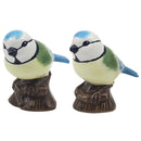 Bluetits Salt & Pepper - Tiger Feet Ireland