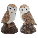Owls Salt & Pepper Set - Tiger Feet Ireland