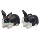 Rabbits Salt & Pepper Set - Tiger Feet Ireland