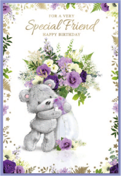6pk Cards C50 Birthday Special Friend - Tiger Feet Ireland