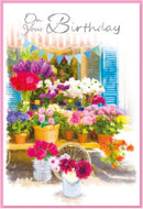 6pk Cards C50 Birthday - Tiger Feet Ireland