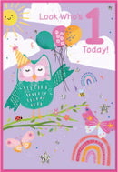 6pk Cards C50 1st Birthday - Tiger Feet Ireland