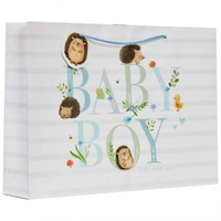 Partisan 6 Pack Gift Bag Hedge-Hugs Hugo XL Shopp - Tiger Feet Ireland