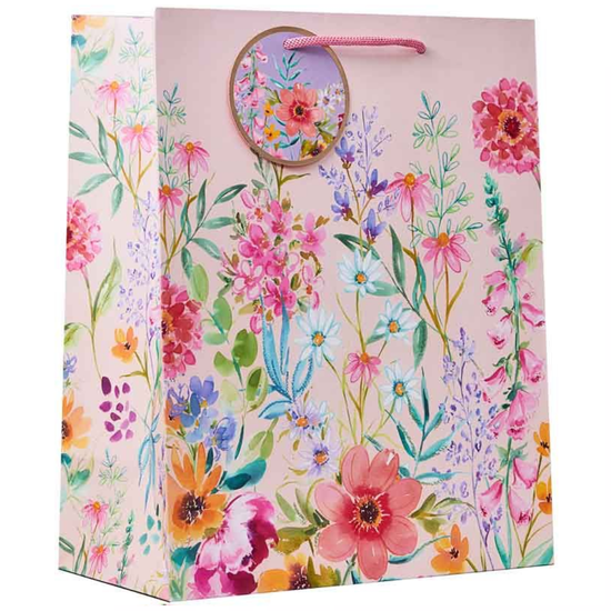 6pk Giftbags Aurora Medium