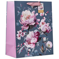 Partisan 6 Pack Gift Bag Harmony Large - Tiger Feet Ireland
