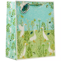 Partisan 6 Pack Gift Bag Duck Duck Goose Large - Tiger Feet Ireland