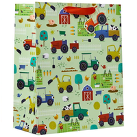 Partisan 6 Pack Gift Bag Pickle Patch Medium - Tiger Feet Ireland
