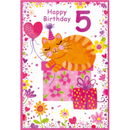 6pk ED C50 5th Birthday Juvenile Male - Tiger Feet Ireland