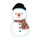 Snowman Plush 8" 6pk - Tiger Feet Ireland