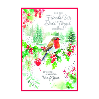Simon Elvin C50 Christmas Friends We Don't Forget - Tiger Feet Ireland