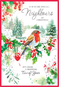 Simon Elvin 6pk Cards C50 Christmas Neighbours - Tiger Feet Ireland