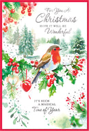 Simon Elvin 6pk Cards C50 Christmas Open - Tiger Feet Ireland