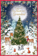 Simon Elvin 6pk Cards C50 Christmas Nan & Grandad - Tiger Feet Ireland