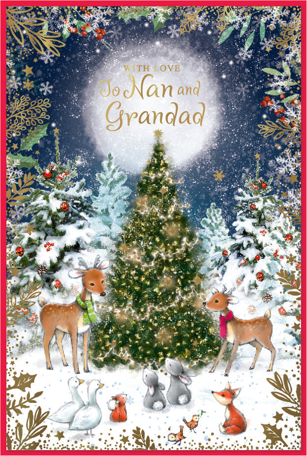 Simon Elvin 6pk Cards C50 Christmas Nan & Grandad - Tiger Feet Ireland