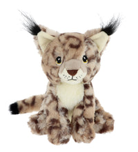 18cm Keeleco Wild Cat - Tiger Feet Ireland