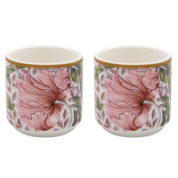 Pimpernel Egg Cups - Tiger Feet Ireland