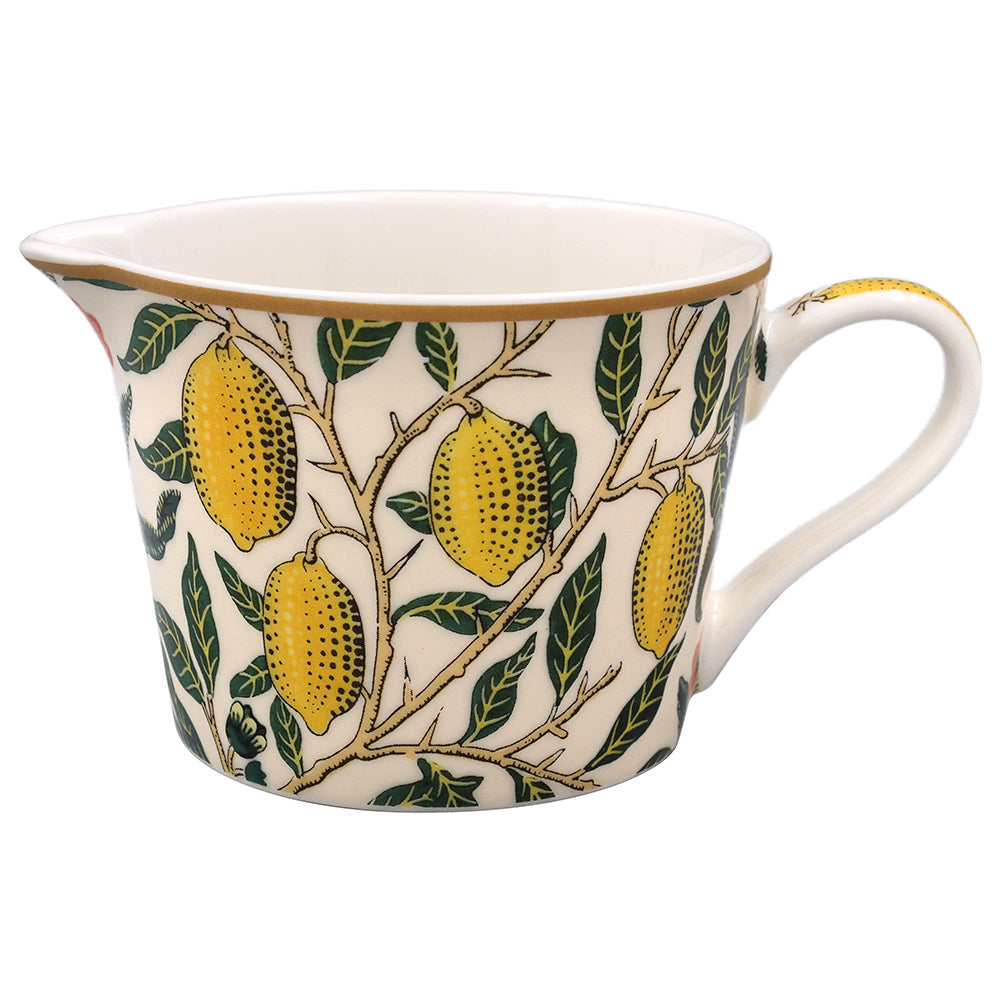 Fruits Jug - Tiger Feet Ireland