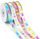 Easter Ribbon 10Mm X 2M Asst - Tiger Feet Ireland