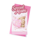 6pk Cards C55 Birthday Mam - Tiger Feet Ireland
