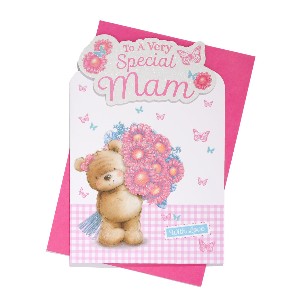 6pk Cards C75 Birthday Mam - Tiger Feet Ireland