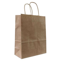 50pk Kraft Bag 240x110x310mm Brown