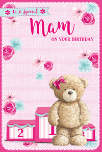 3D 6pk Cards C75 Birthday Mam - Tiger Feet Ireland