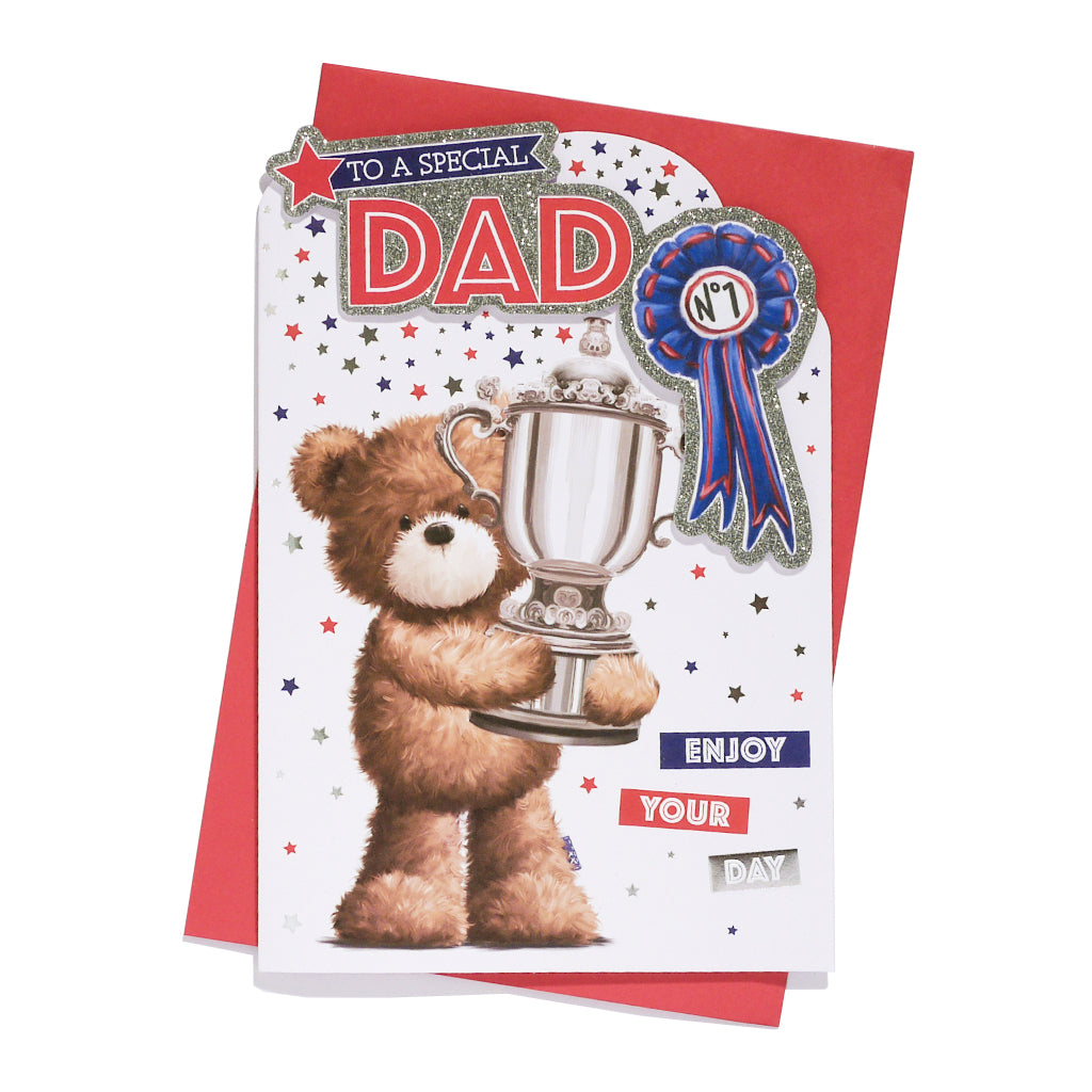 6pk Cards C75 Birthday Dad - Tiger Feet Ireland