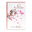 6pk Cards C75 Birthday Great-Granddaughter - Tiger Feet Ireland