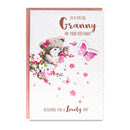6pk Cards C75 Birthday Granny - Tiger Feet Ireland