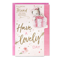 6pk Cards C75 Birthday Friend - Tiger Feet Ireland