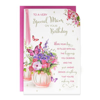 6pk Cards C75 Birthday Mam - Tiger Feet Ireland