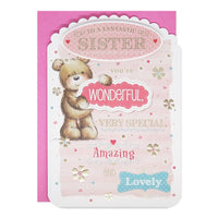 6pk Cards C90 Birthday Sister - Tiger Feet Ireland