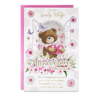 6pk Cards C375 Wife Anniversary - Tiger Feet Ireland
