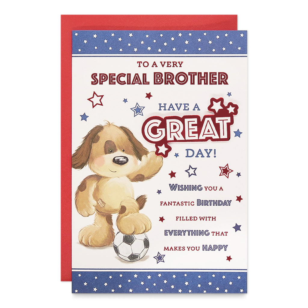 6pk Cards C75 Birthday Brother - Tiger Feet Ireland