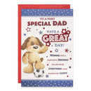 6pk Cards C75 Birthday Dad - Tiger Feet Ireland
