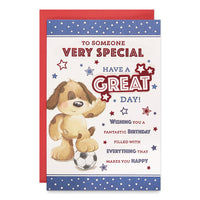 6pk Cards C75 Birthday Someone Special - Tiger Feet Ireland