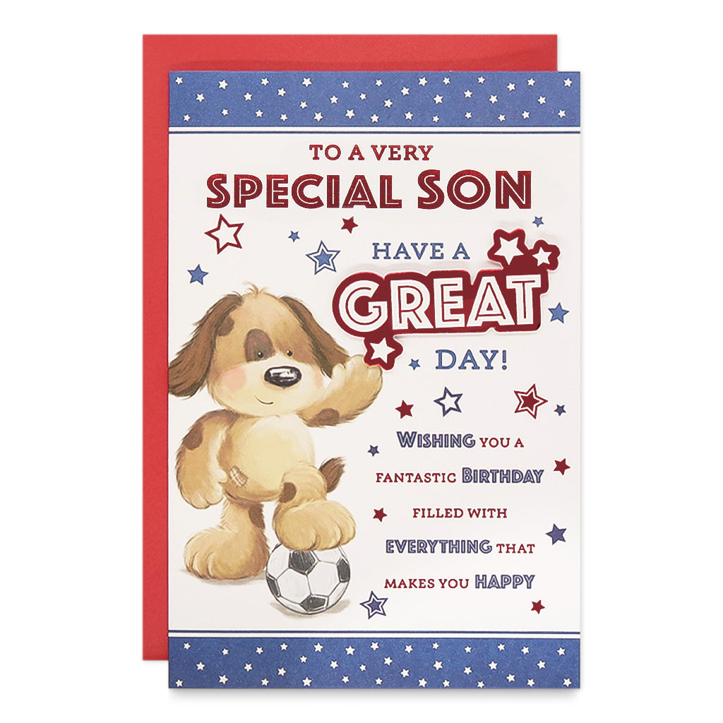 6pk Cards C75 Birthday Son - Tiger Feet Ireland