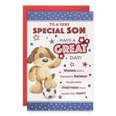 6pk Cards C75 Birthday Son - Tiger Feet Ireland