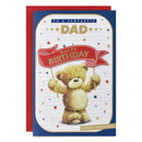6pk Cards C75 Birthday Dad - Tiger Feet Ireland